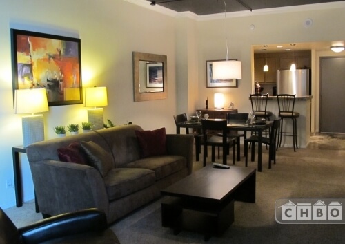 Fully Furnished monthly rental in Downtown De