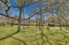 Backyard 2