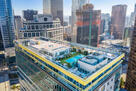 Tenten Wilshire