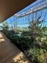 secret garden above the infinity pool