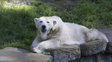 Visit Zoo 4.5 miles