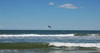 VIRGINIA BEACH Corporate Housing