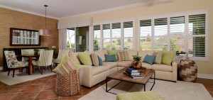 Blinds and interior shutters