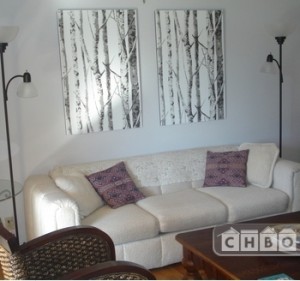 Sofa set in corporate housing