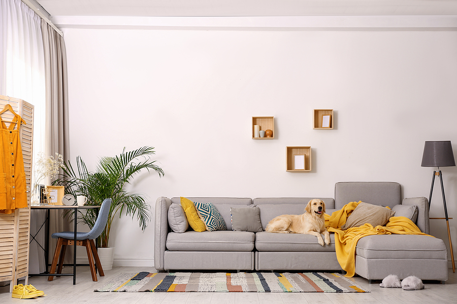 rental apartments which allow pets
