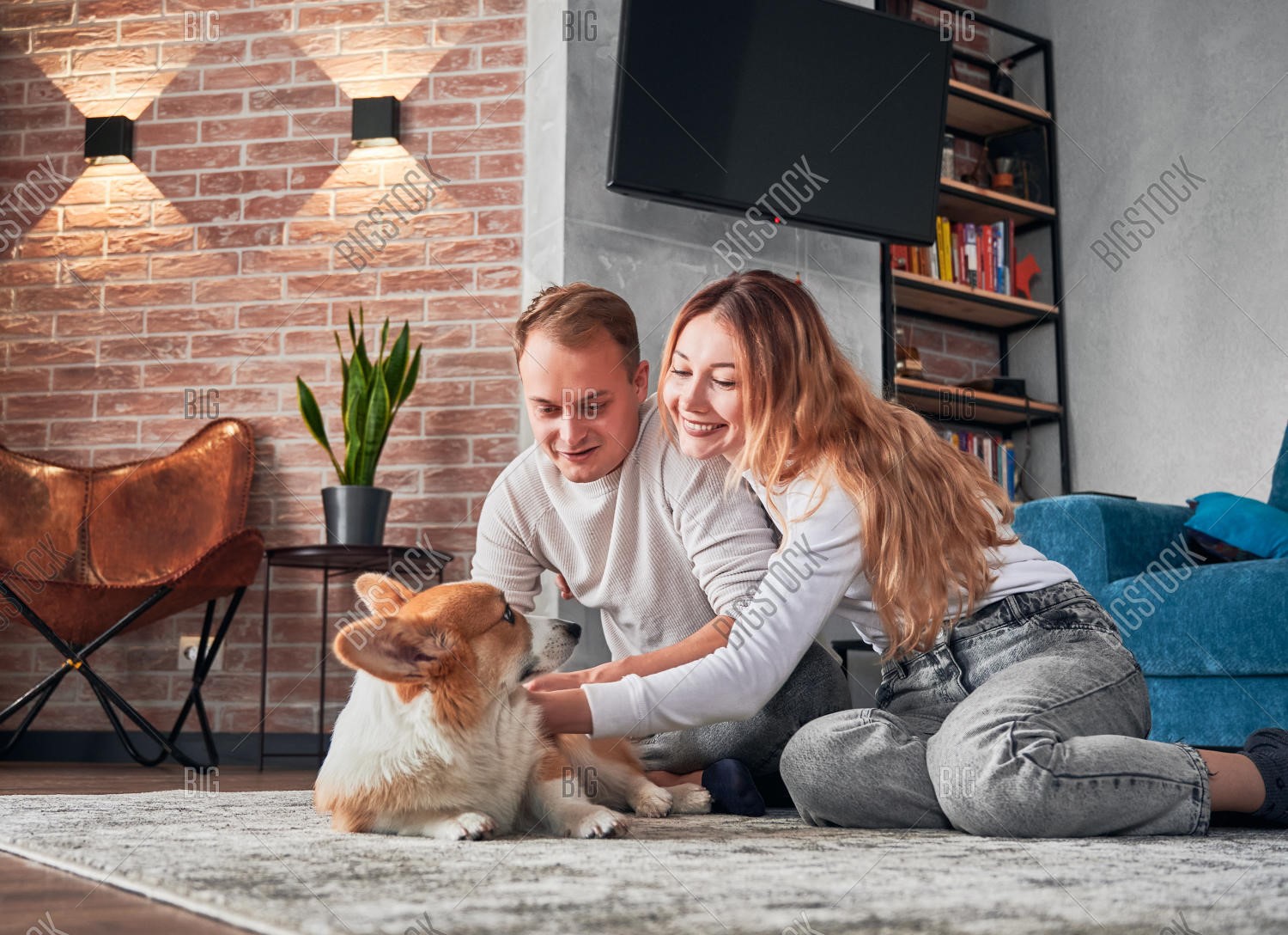 Keeping Pets Comfortable Staying in Corporate Apartments