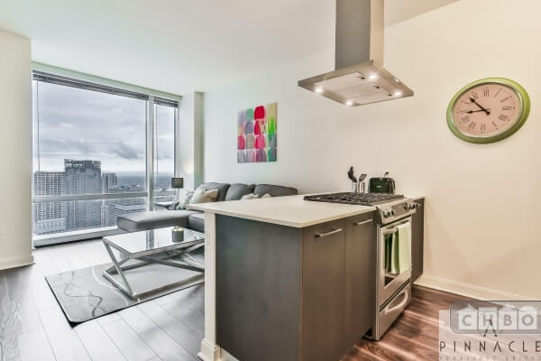 Prime Location Downtown Highrise-1 BR