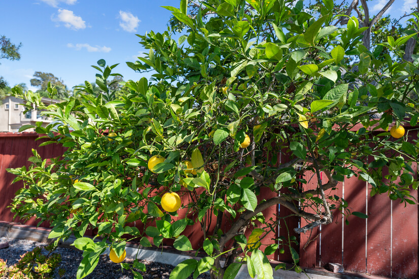 Single Story Cute Home Minutes to Beach