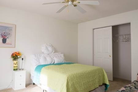 Spacious, Nice Location, New SofaBed