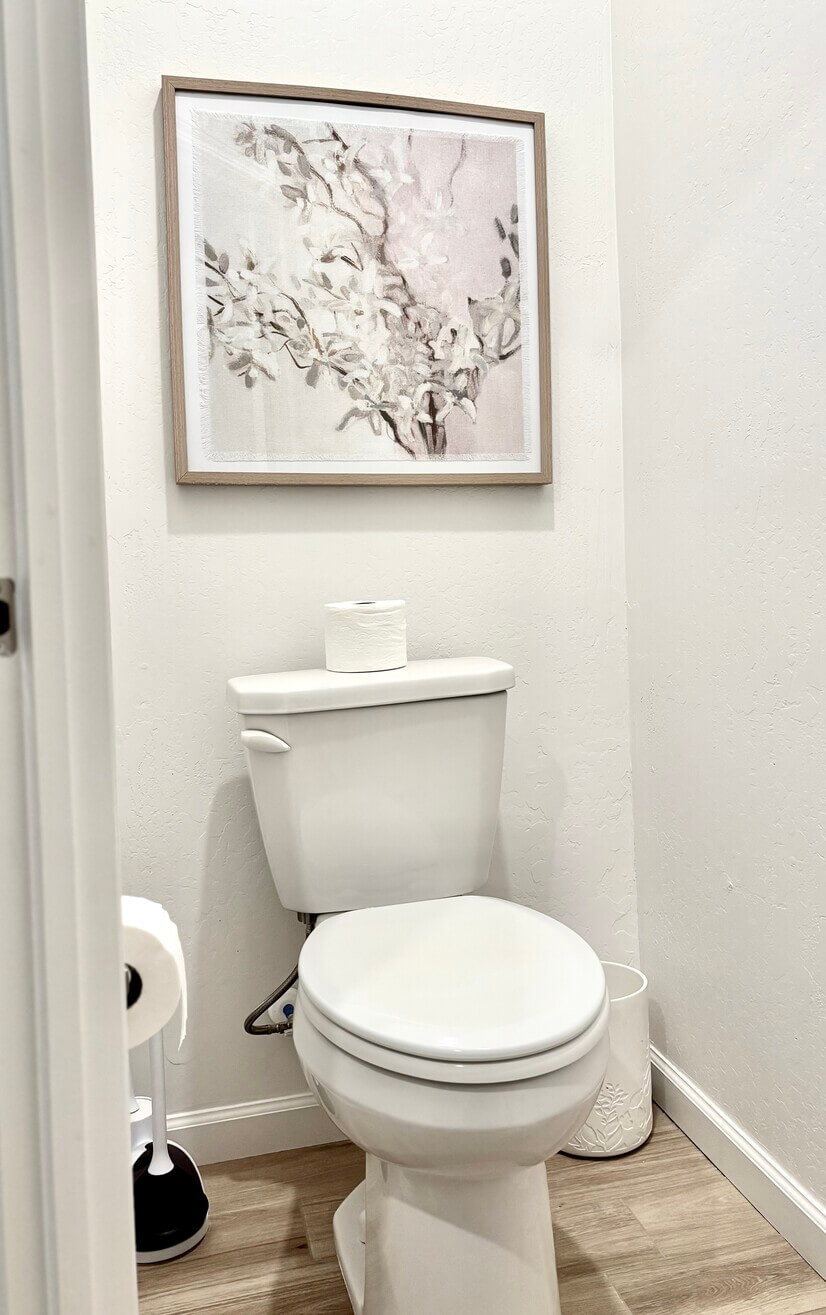 Master suite - private bathroom with door