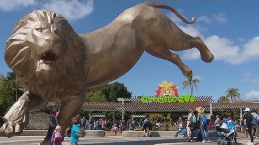 San Diego Zoo - Walk or Drive (1.7 miles)