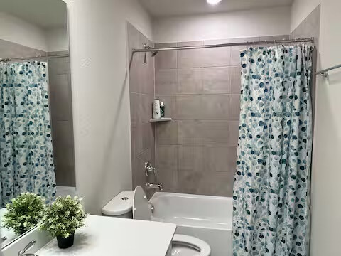 Secondary Bathtub and shower.