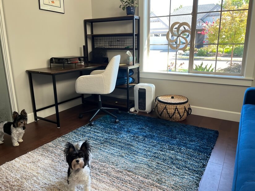Private office (dogs not included)
