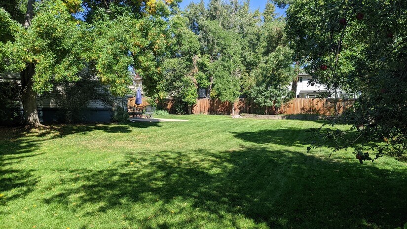 Large fenced-in yard,  great for kids & pets!
