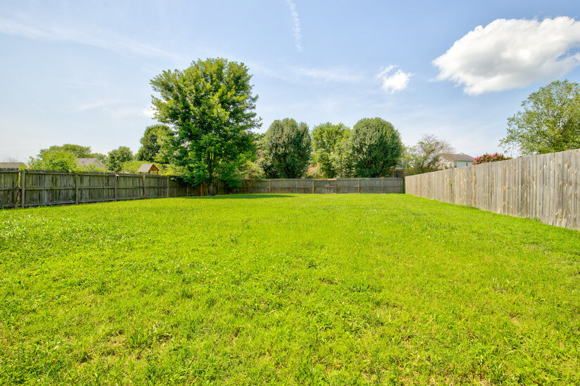 Play together in the spacious fully-fenced backyard