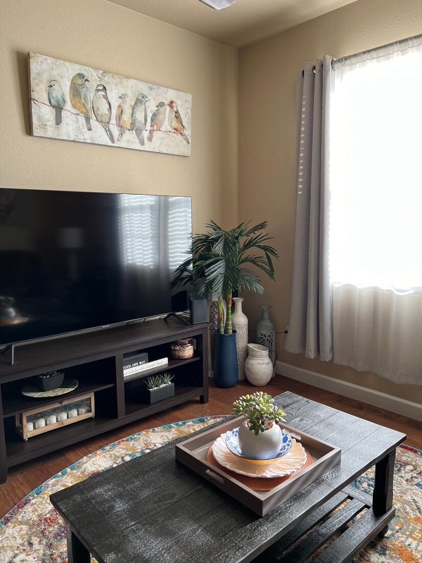 Living room with ceiling fan