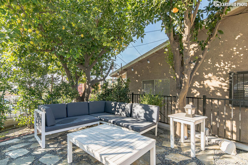 New shaded outdoor area with lemon and orange trees