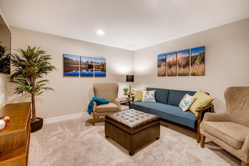 Lower Level Family Room