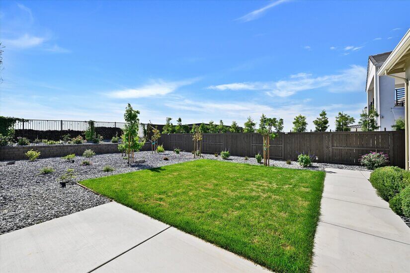 Beautiful green lawn with real grass