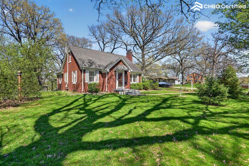 Spring leaves returning to mature oaks