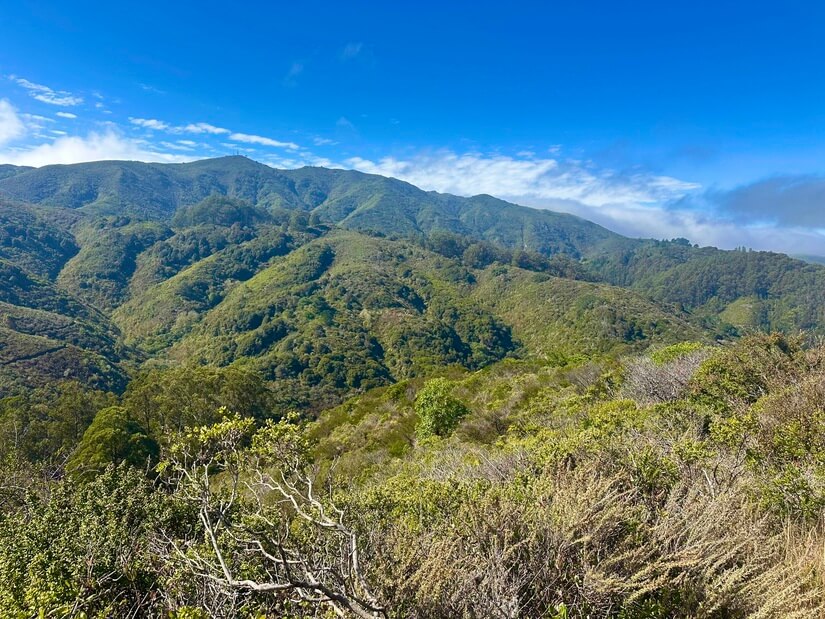 Luxury Coastal Retreat I 15 min to SF