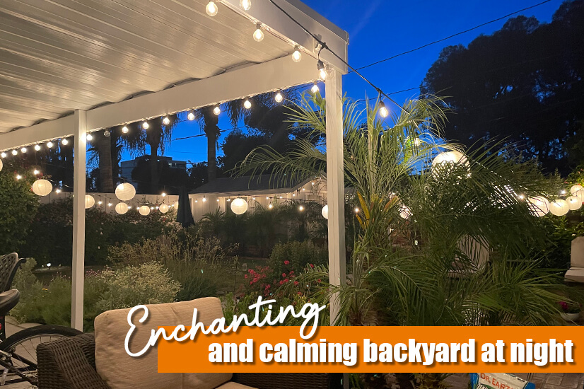 Enchanting and Calming Backyard at Night
