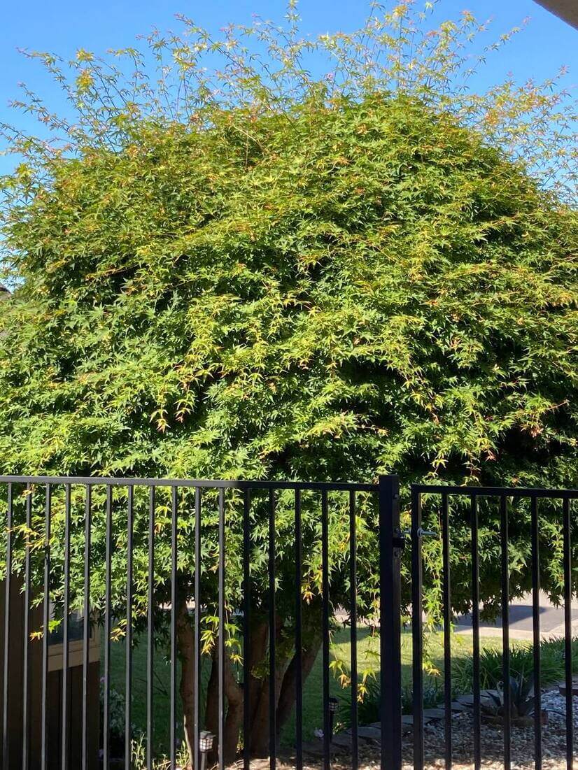 Pleasant Hill Prime Location 