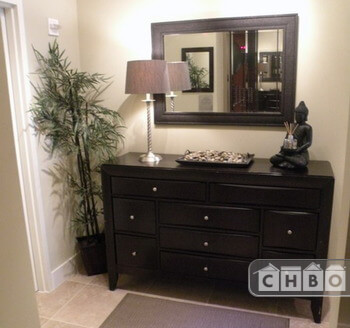 Exotic wood sideboard and bronze hammered mir