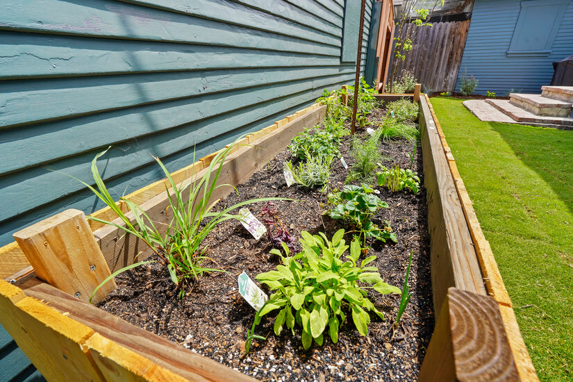 Herb garden