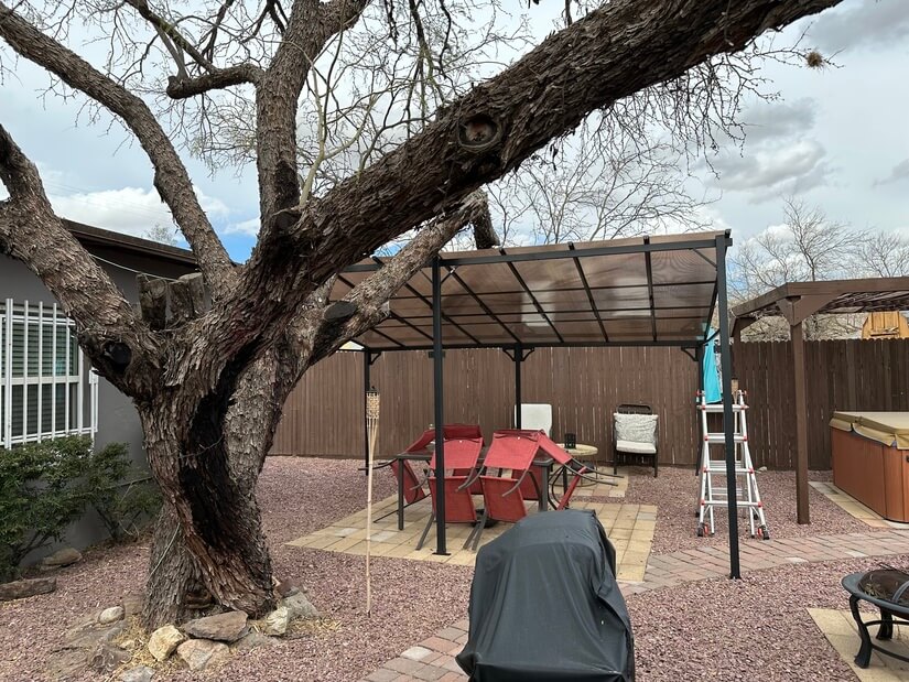 Backyard
