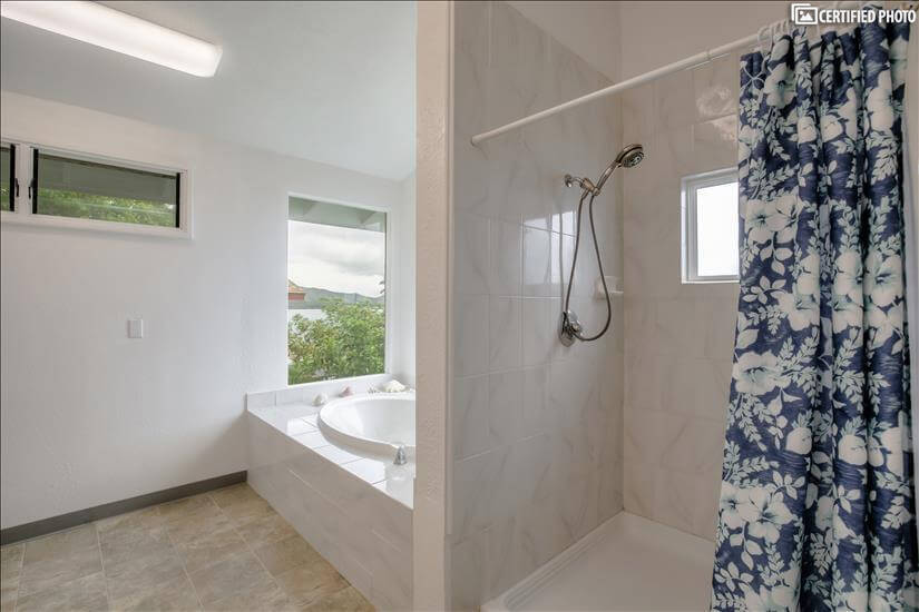 Walk-in shower and soaking tub