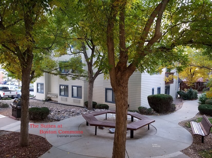 BEST Furnished Condos in DTC Area!