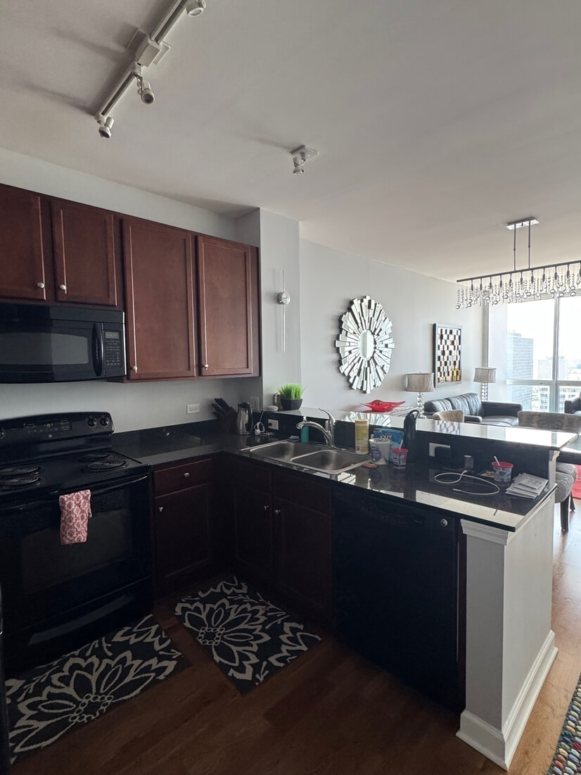 Furnished Condo in Chicago's South Loop
