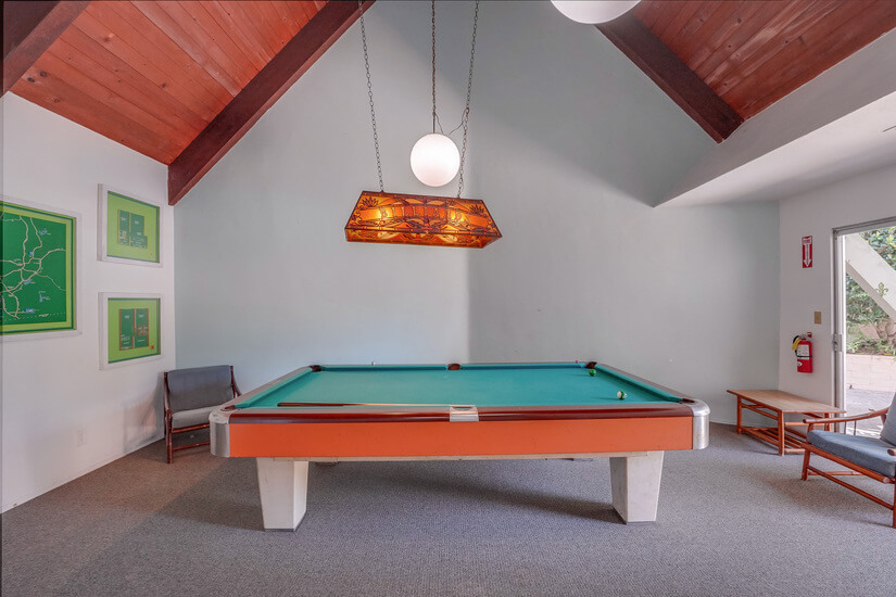 Community Pool Table
