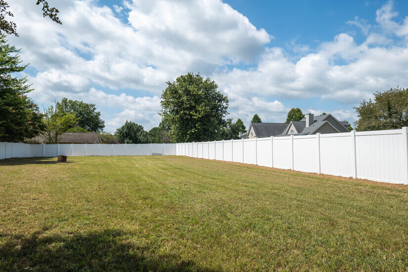 Spacious and private backyard