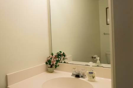 Spacious, Nice Location, New SofaBed