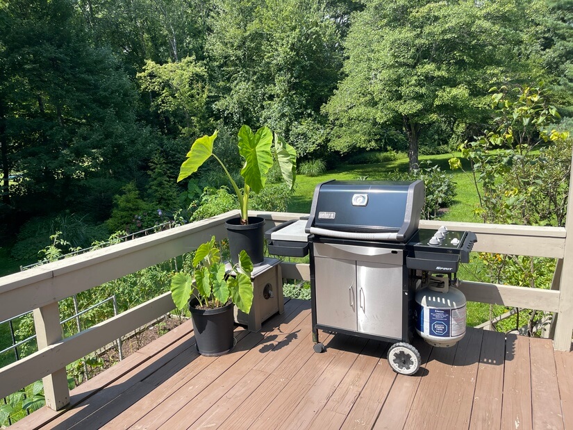Weber grill