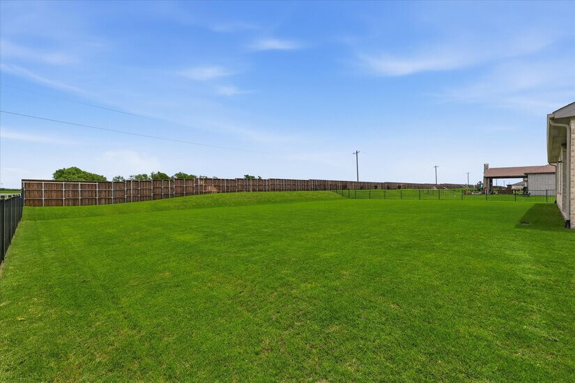 Spacious Backyard