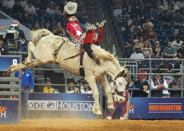 Houston Rodeo