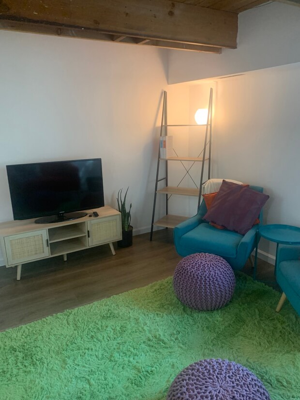 Lower level Living room