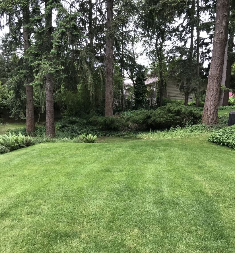 Backyard view from back and side deck.....Vol