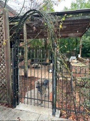 Terrace Entry