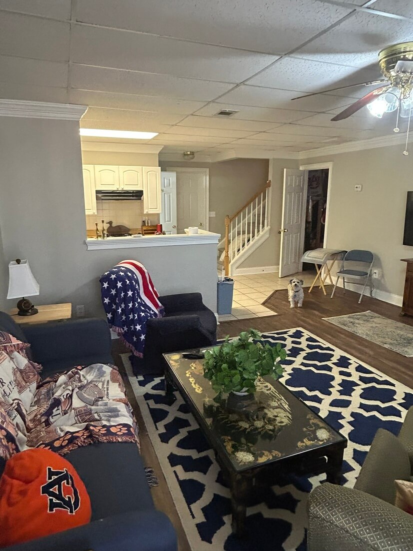 Basement Mother in Law Suite