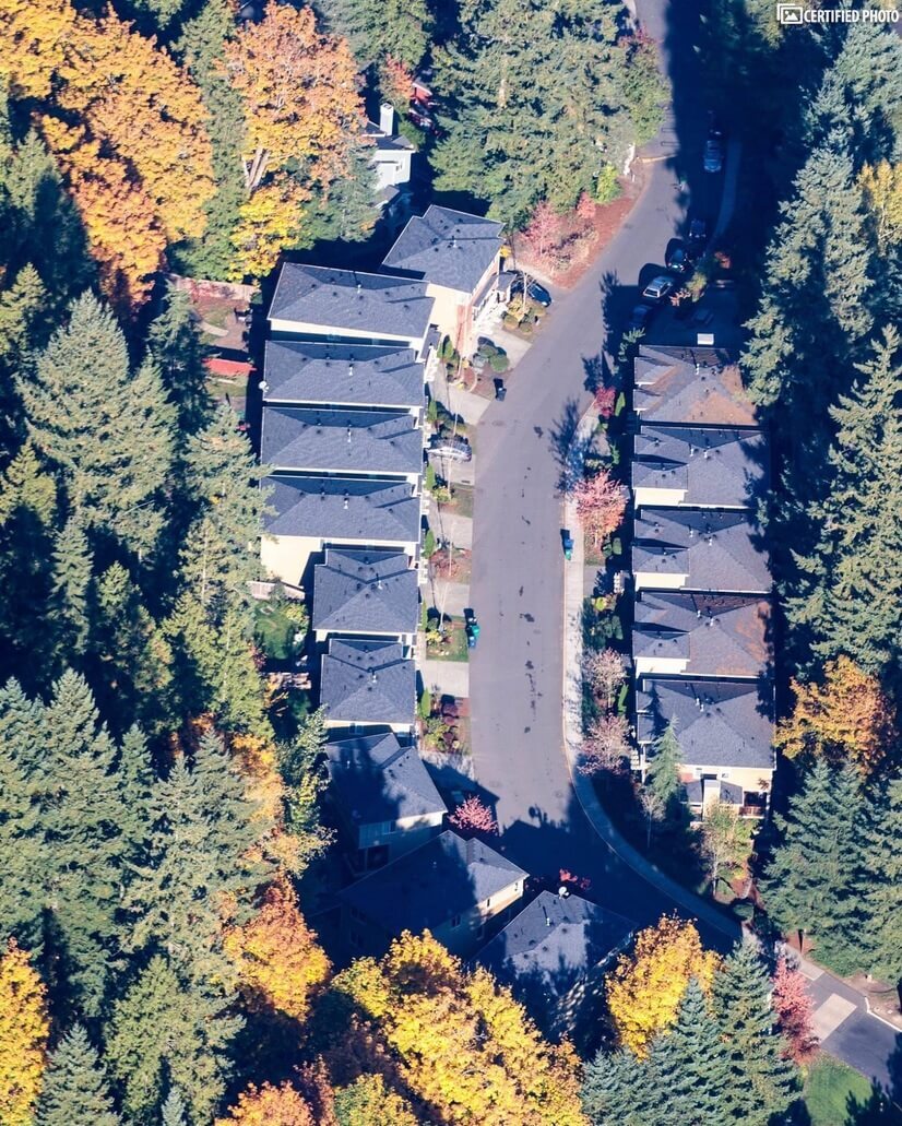 Aerial View of the neighborhood