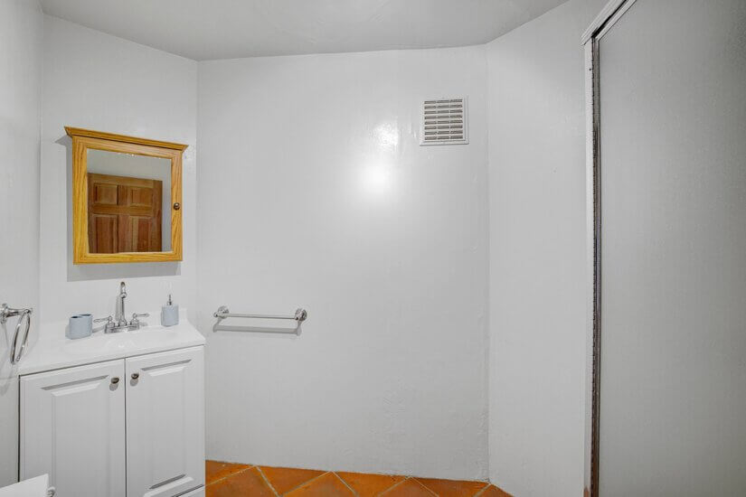 Downstairs Bathroom with Shower