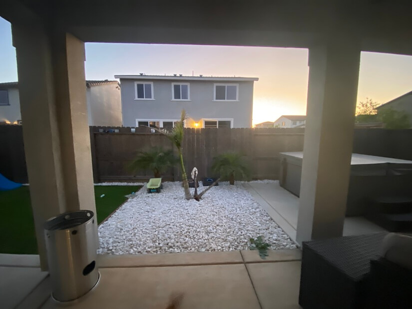 View of Backyard trees