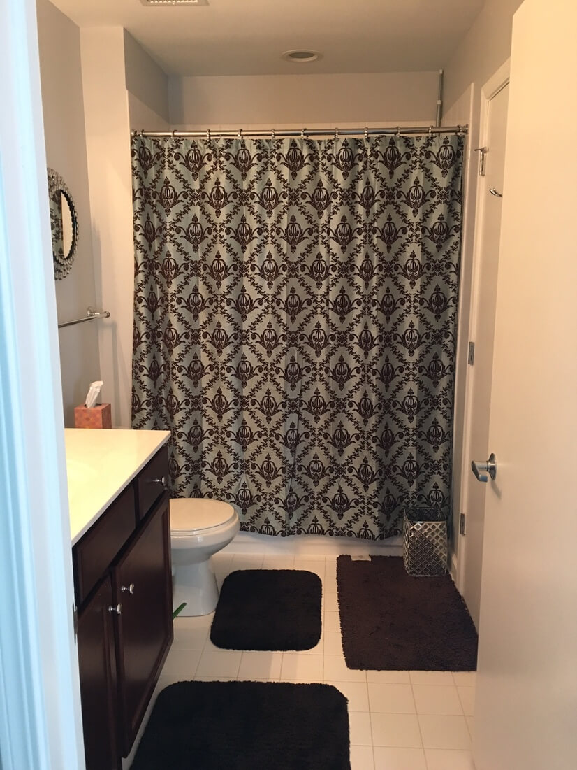 Furnished Condo in Chicago's South Loop