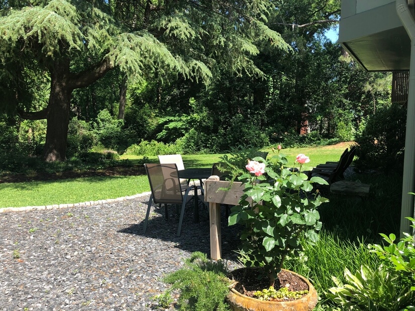Backyard and Table