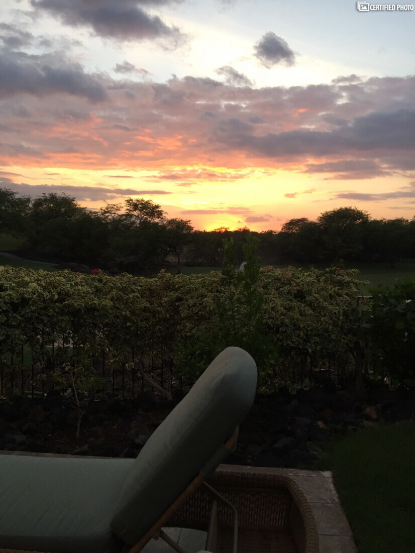 Backyard view at sunset.