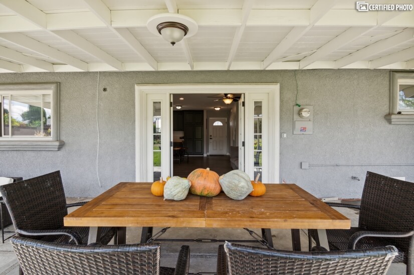 Outdoor dining table w/ pumpkins and squash from the garden!